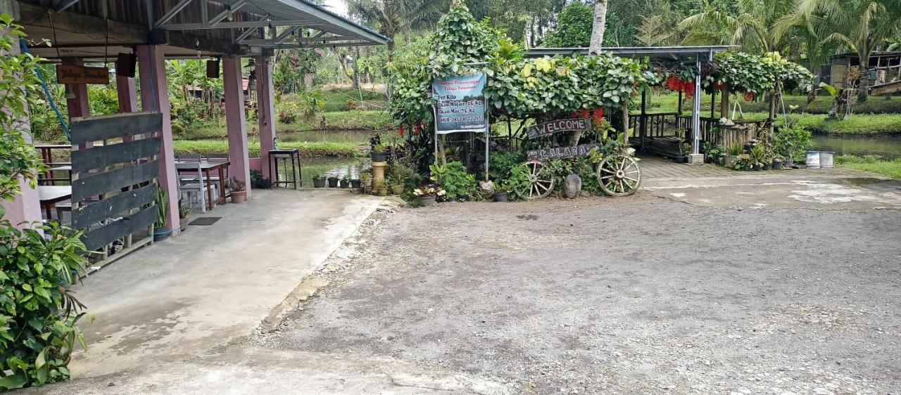 Talaga Tomohon Home Stay And Fishing Pond Extérieur photo