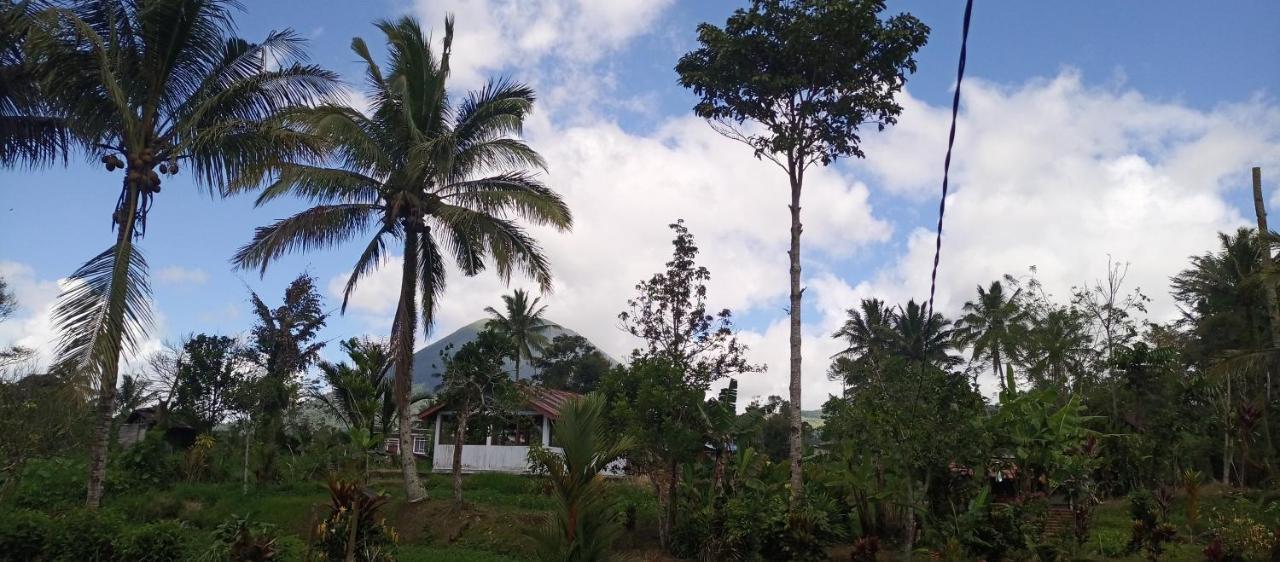 Talaga Tomohon Home Stay And Fishing Pond Extérieur photo