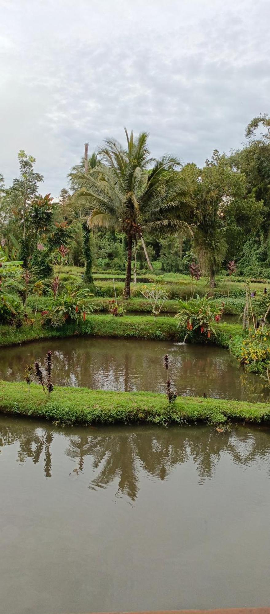 Talaga Tomohon Home Stay And Fishing Pond Extérieur photo