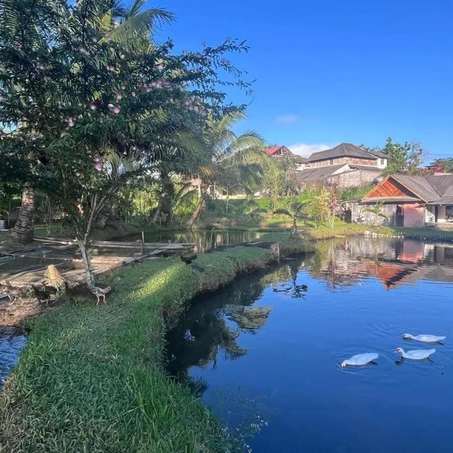 Talaga Tomohon Home Stay And Fishing Pond Extérieur photo