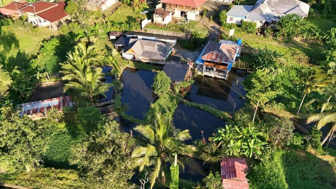 Talaga Tomohon Home Stay And Fishing Pond Extérieur photo